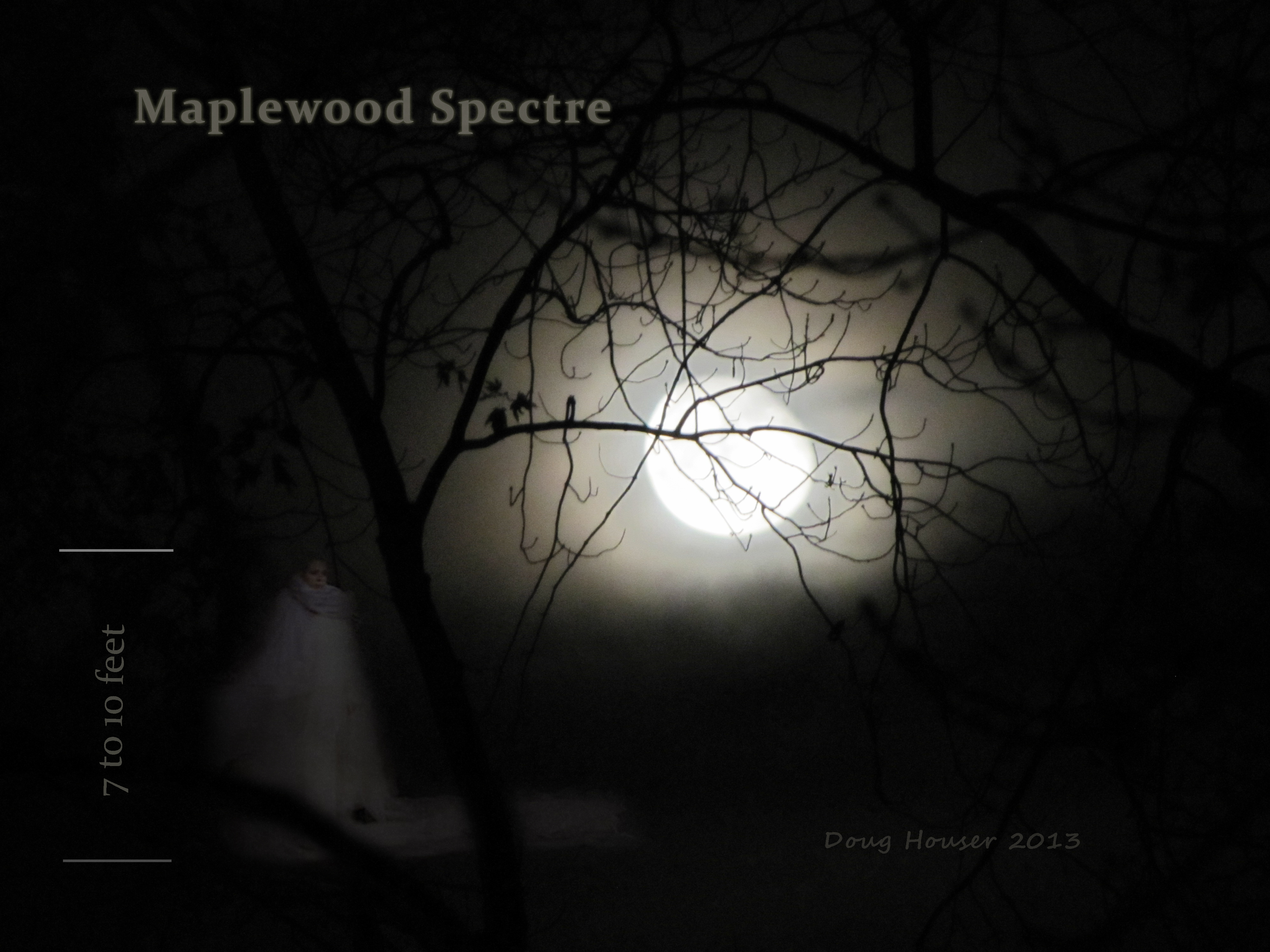 7 Foot Maplewood Spectre Grew 3 Feet in 6 Blocks