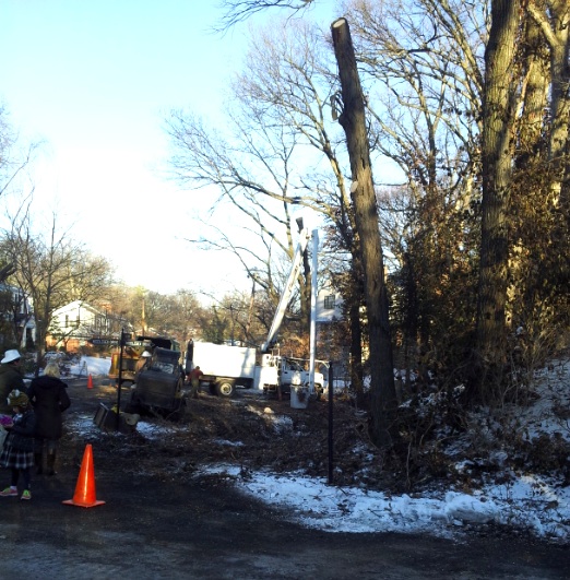 Clear-cutting of lot shocks Brentwood neighborhood