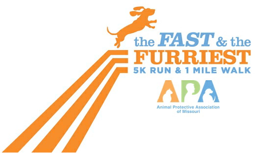 APA Laces Up for 6th Annual 5K