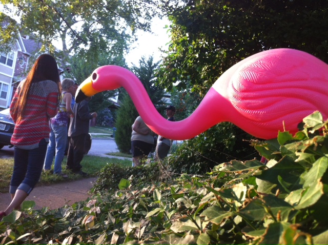 Pink flamingos are showing up in Richmond Heights.