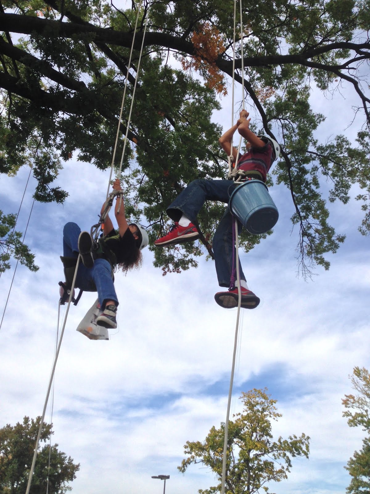 MRH Middle School receives grant for tree climbing program