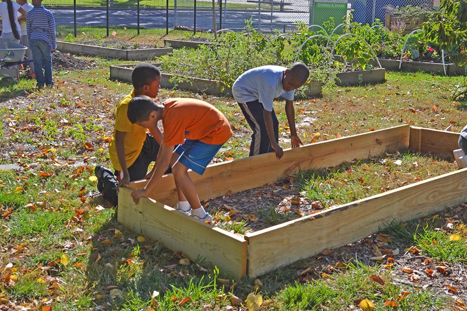 2 community gardens to receive help from Gateway Greening, vegetables to go to pantries