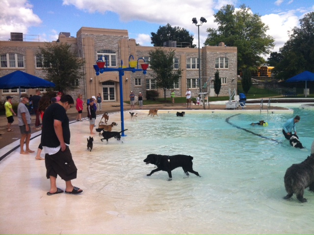 Dog swim ends pool season