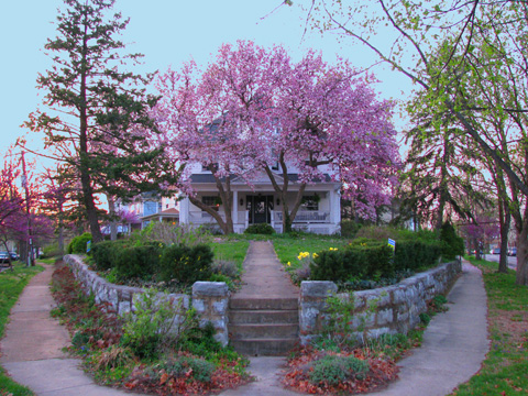 I will close for now with this shot of Dan and Lisa Greenwood's landmark home on the wedge between Hazel and Maple. their magnolias in bloom are not to be missed. It won't be long. I predict at least two more posts on the stonework of Maplewood. Stay tuned. As always I appreciate all of your questions, comments, emails and tips, etc. Unless stated otherwise, all photos are by Yours Truly.