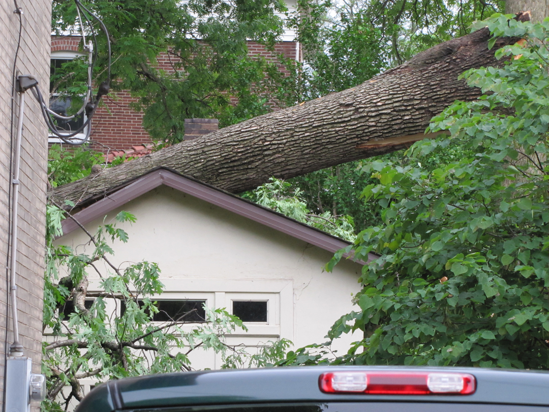 Here is why it looked roughed up. an enormous oak tree crashed down on to it during a storm in May of 2011. As you can see the garage supported that giant oak. Not many modern garages would have.