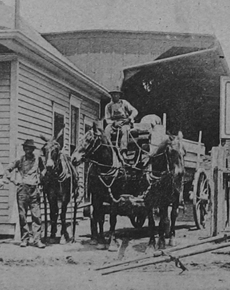 Well these animals belonging to the Banner Lumber company aren't horses but they're closely related. they are mules and were probably used to haul lumber up Sutton from the railroad. A hellacious fire at Banner Lumber is thought to have been a catalyst to incorporate the City of Maplewood and thus enjoy the benefit of a fire department. Banner Lumber was located eihter the NW or SW corner of sutton and Manchester. I seem to remember evidence that would suggest both. Courtesy of the Maplewood Public Library.