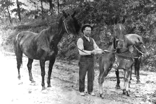 I beleive this one of a man and three horses at Cambridge and big Bend is also from the Renaissance Society collection. I made a note that it may be part of a Lauretson family collection. Courtesy of the Maplewood Public Library.