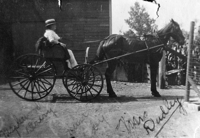 Mrs. Dudley of the Maplewood Dairy on Walter with her rig. Courtesy of the Maplewood Public Library.