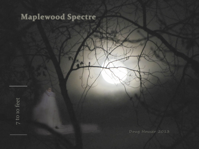 maplewood-spectre-771x578