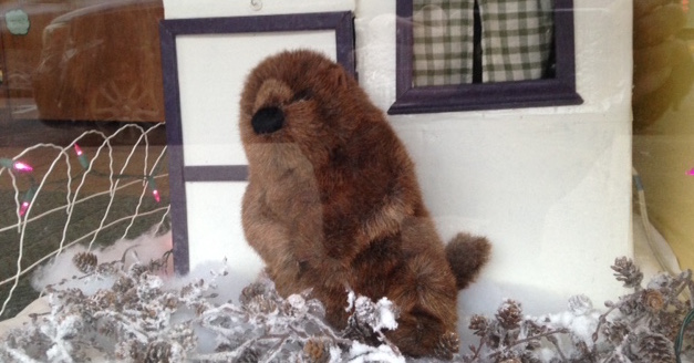 Maplewood groundhog doesn’t see her shadow
