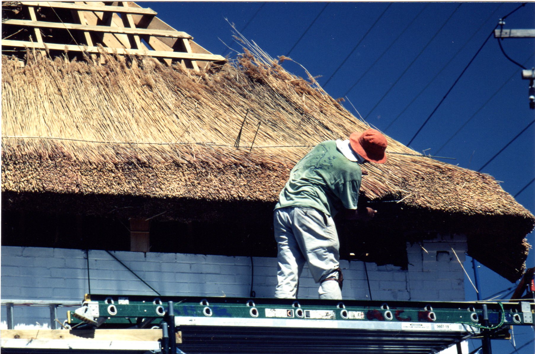 Maplewood History: A Thatched Roof On Big Bend