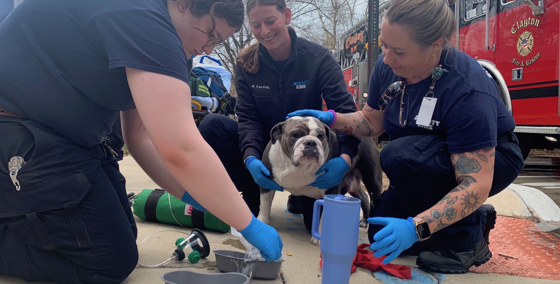 Fox 2: Dogs rescued in Commonwealth house fire